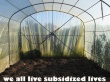 we all live subsidized lives